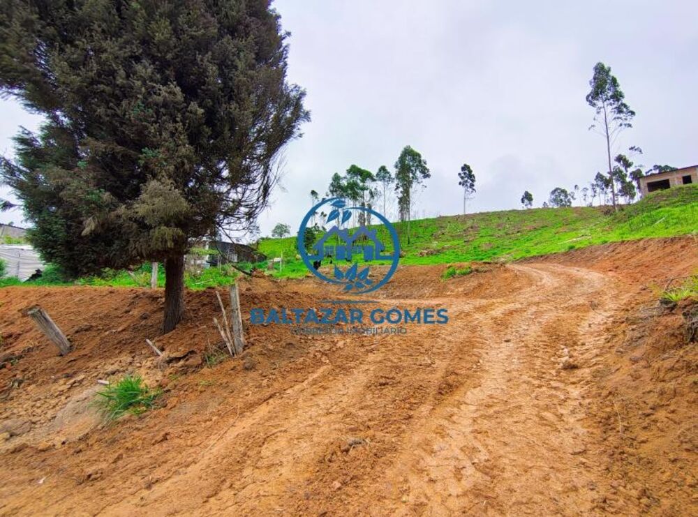 Terreno, 5000 m² - Foto 1