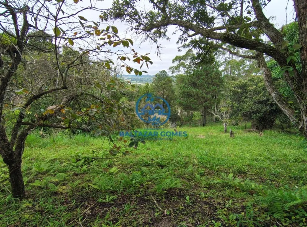 Chácara, 2 quartos, 2800 m² - Foto 8