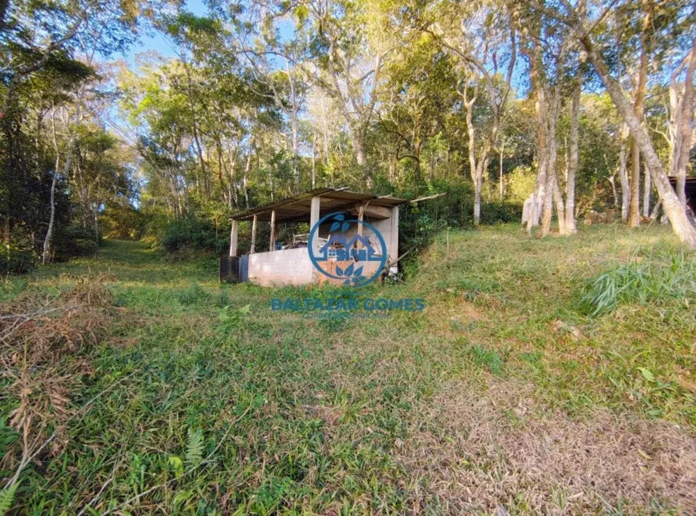 Chácara, 2 quartos, 2 hectares - Foto 15