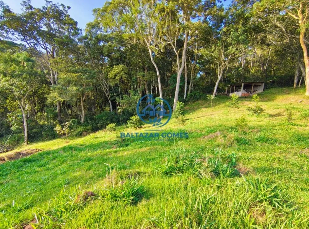 Chácara, 2 quartos, 2 hectares - Foto 14