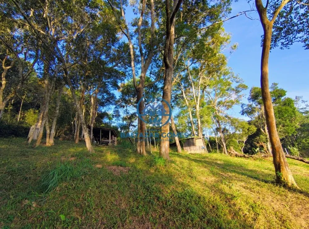 Chácara, 2 quartos, 2 hectares - Foto 16