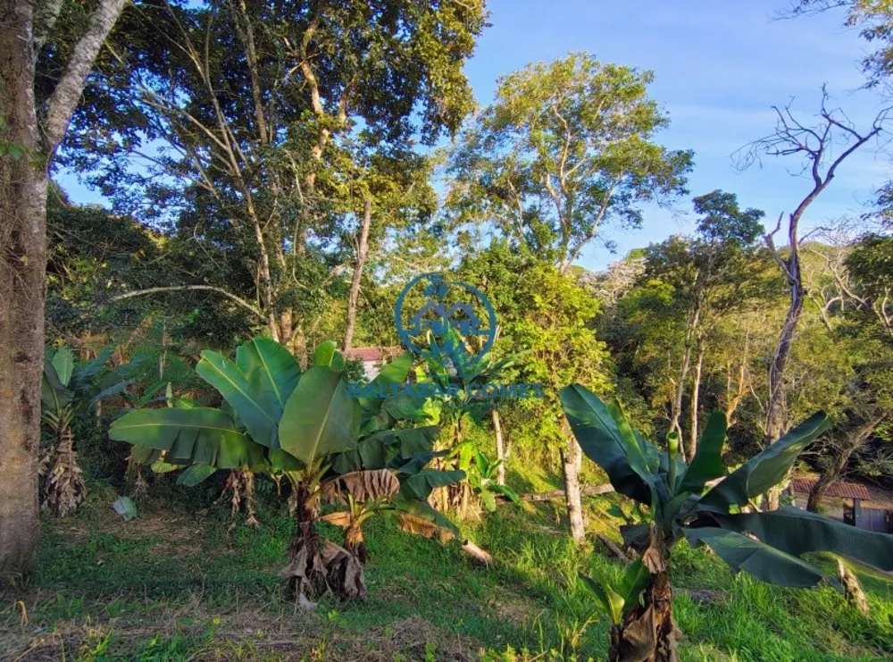 Chácara, 2 quartos, 2 hectares - Foto 18