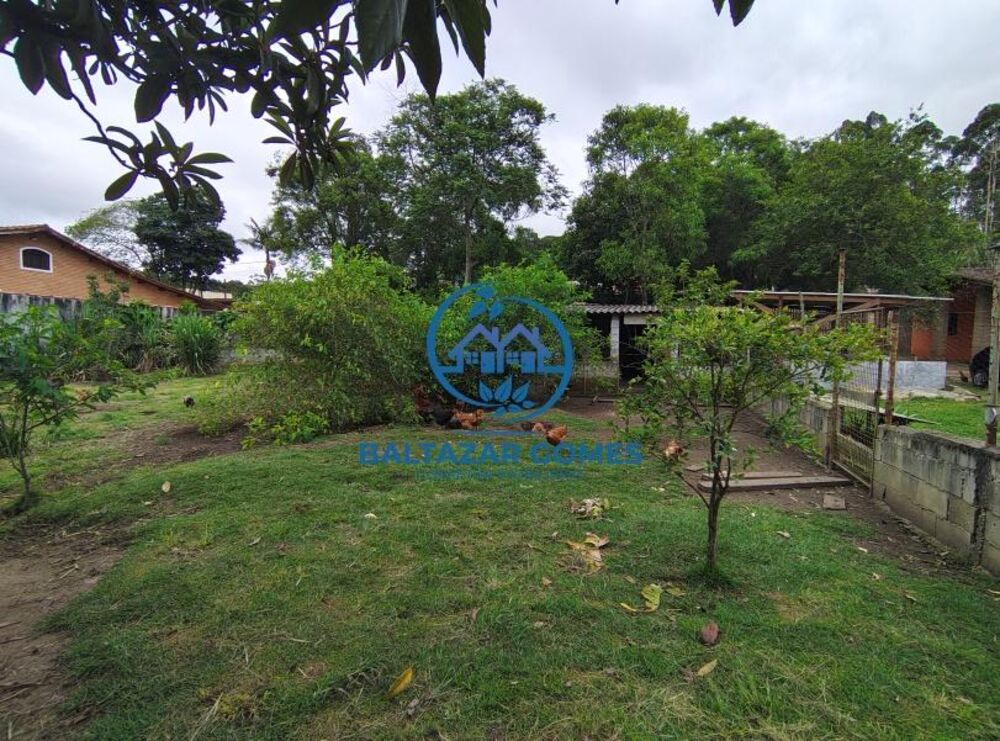 Sítio à venda com 2 quartos, 10300m² - Foto 9