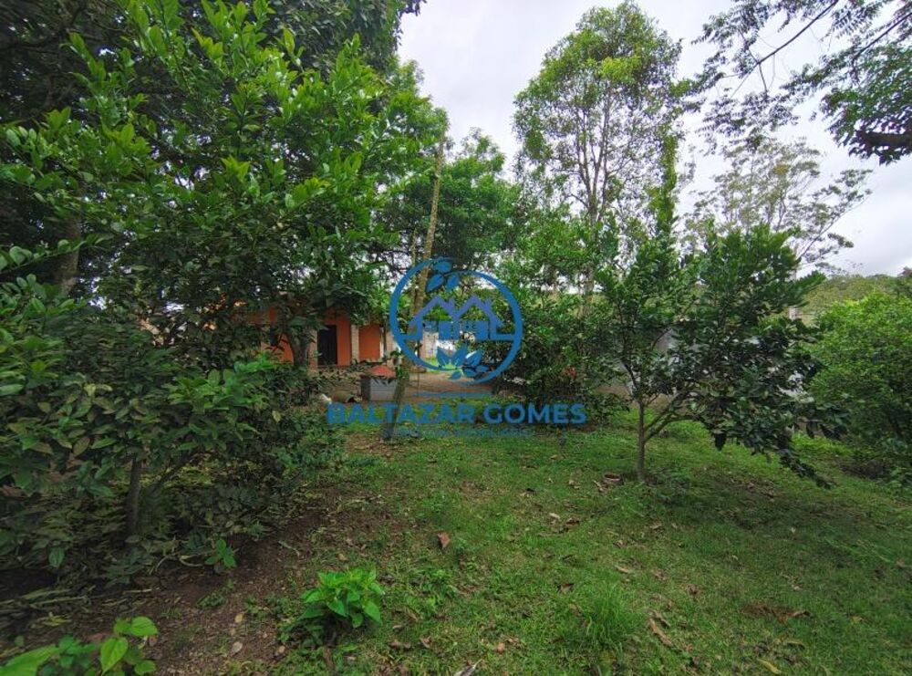Sítio à venda com 2 quartos, 10300m² - Foto 7