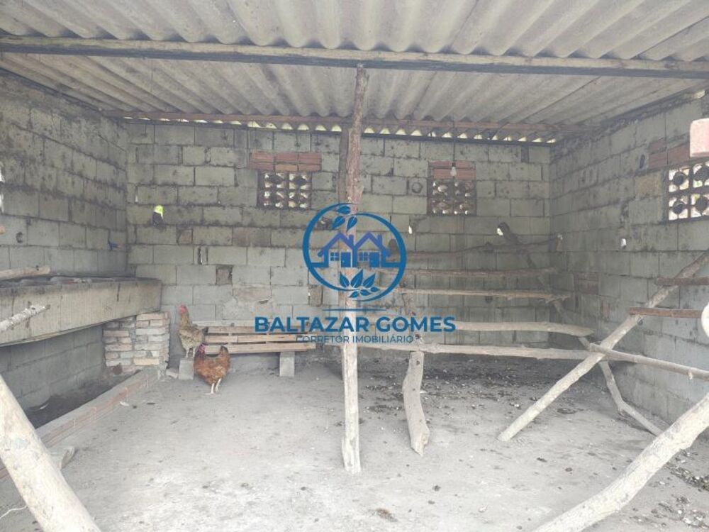 Sítio à venda com 2 quartos, 10300m² - Foto 6