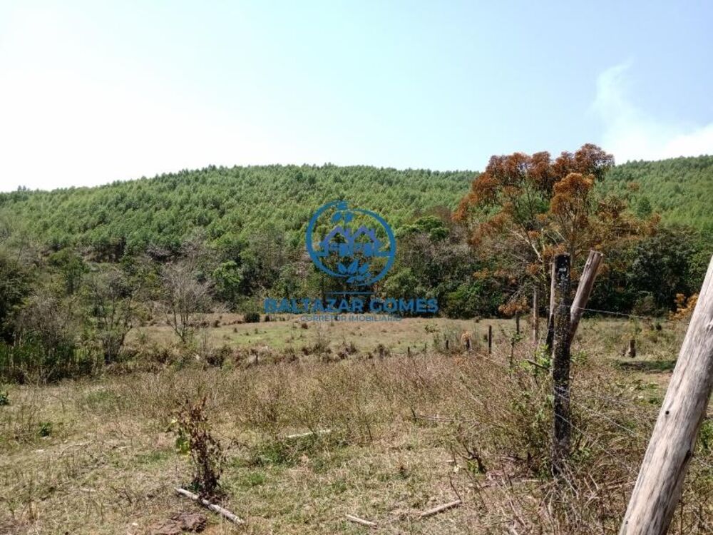 Sítio, 2 quartos, 11 m² - Foto 3