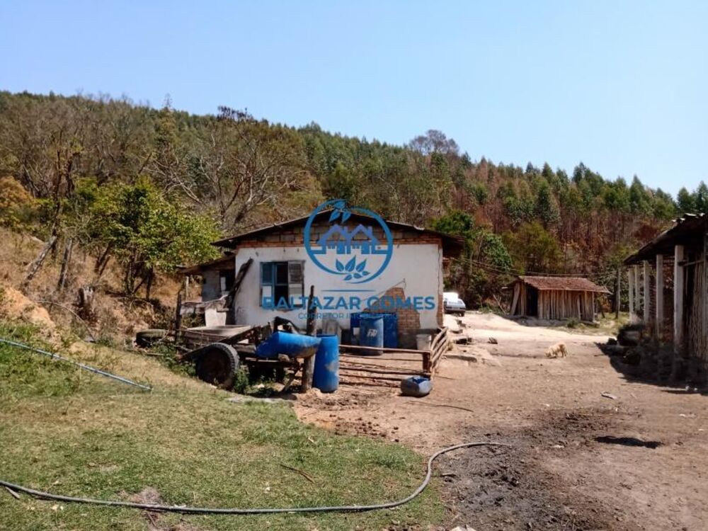 Sítio, 2 quartos, 11 m² - Foto 6