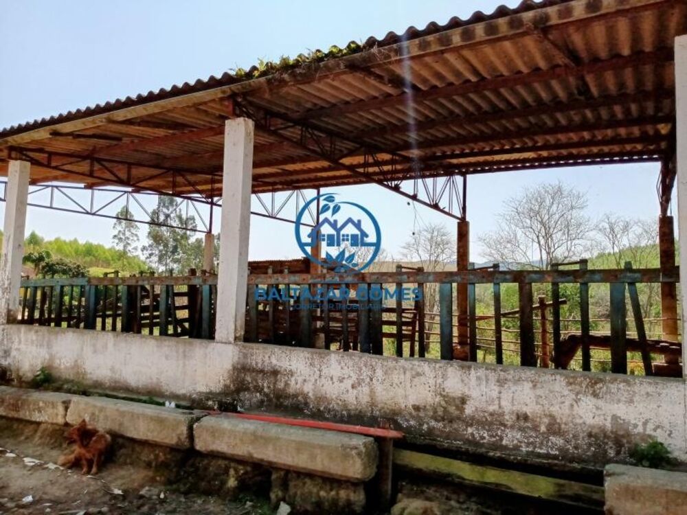 Sítio, 2 quartos, 11 m² - Foto 7