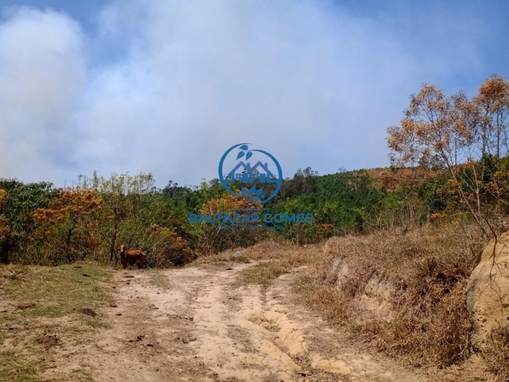 Sítio, 2 quartos, 11 m² - Foto 2