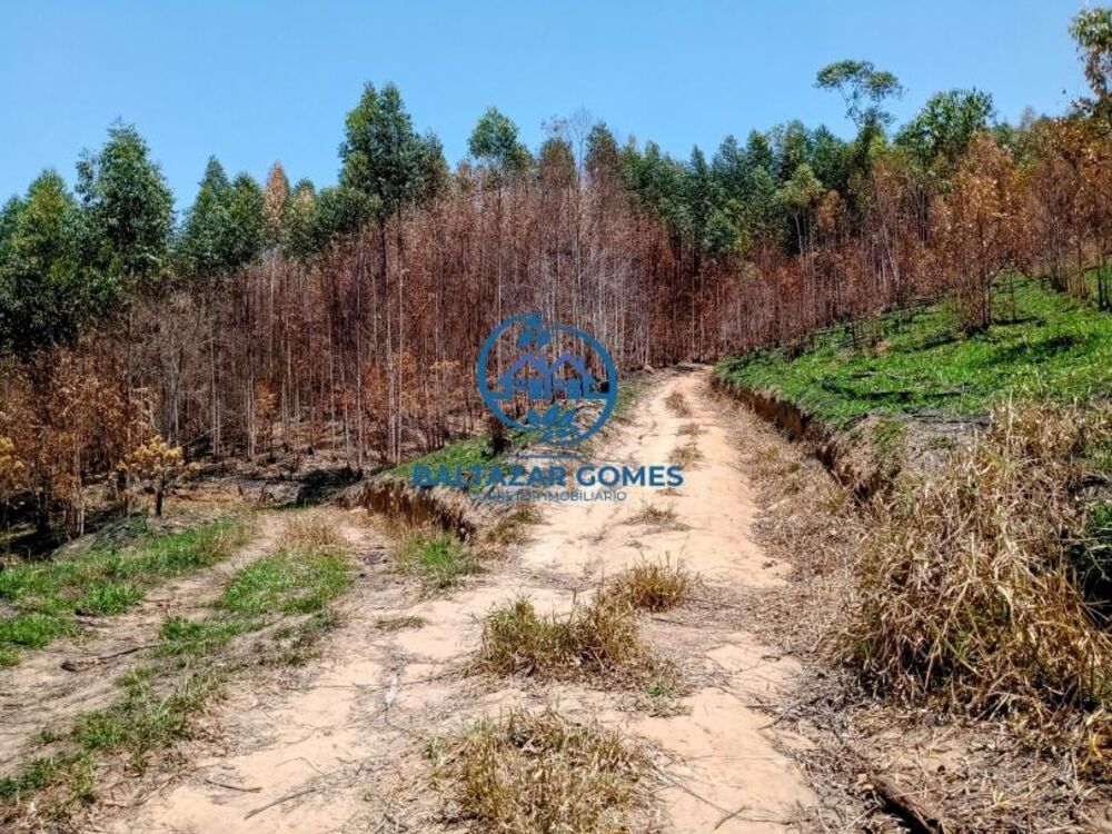 Sítio, 2 quartos, 11 m² - Foto 14