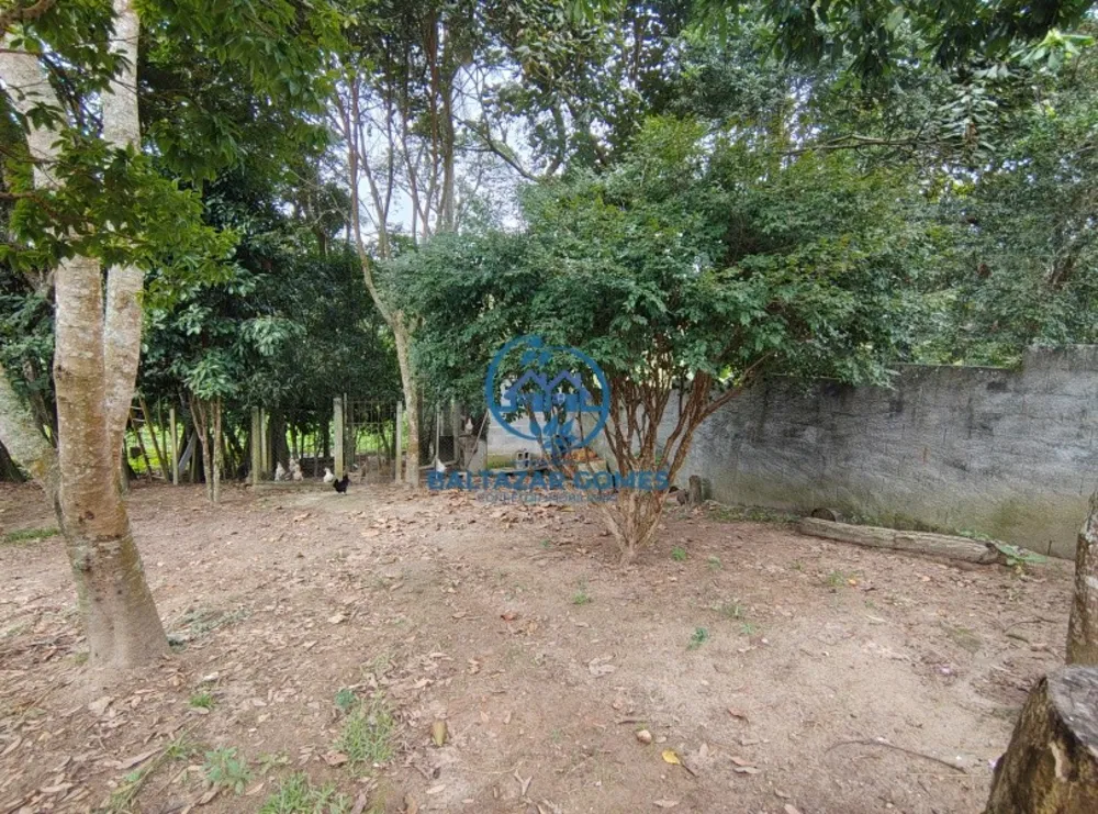 Chácara, 1 quarto, 1700 m² - Foto 10
