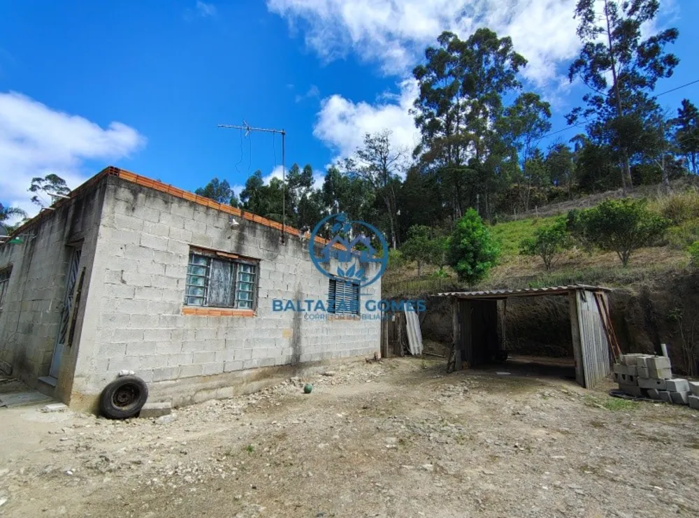 Chácara, 2 quartos, 3916 m² - Foto 10