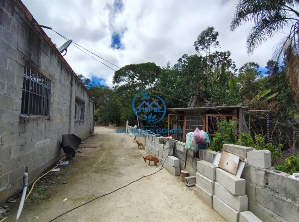 Chácara, 2 quartos, 3916 m² - Foto 2