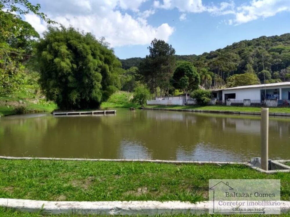 Fazenda à venda com 3 quartos, 150000m² - Foto 2