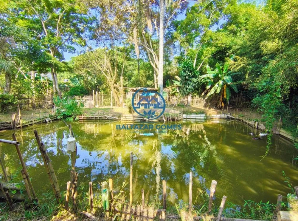 Chácara, 3 quartos, 2500 m² - Foto 2
