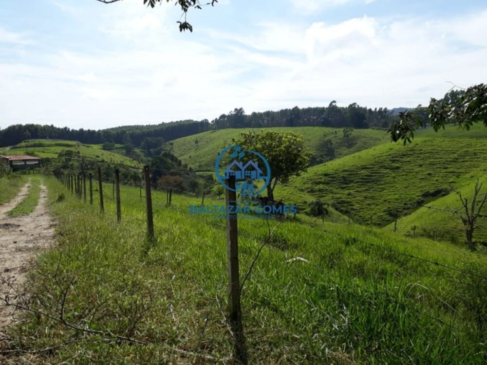 Sítio, 6 quartos, 11 m² - Foto 3