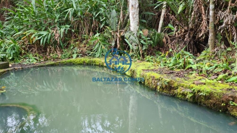 Sítio, 6 quartos, 11 m² - Foto 2