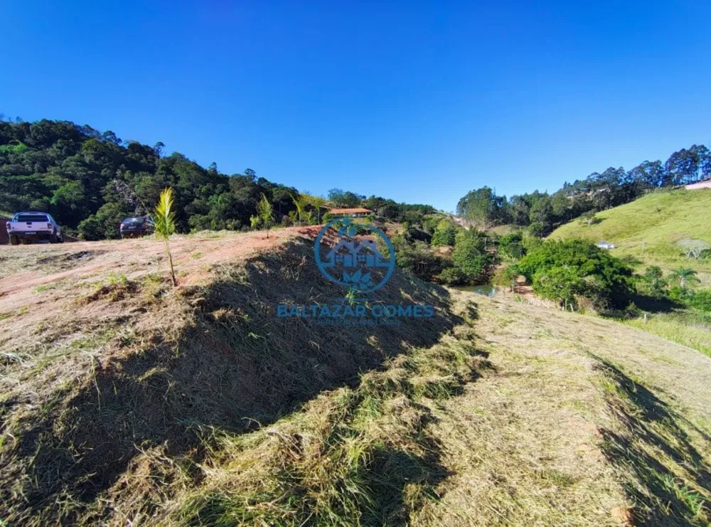 Terreno, 2 hectares - Foto 6