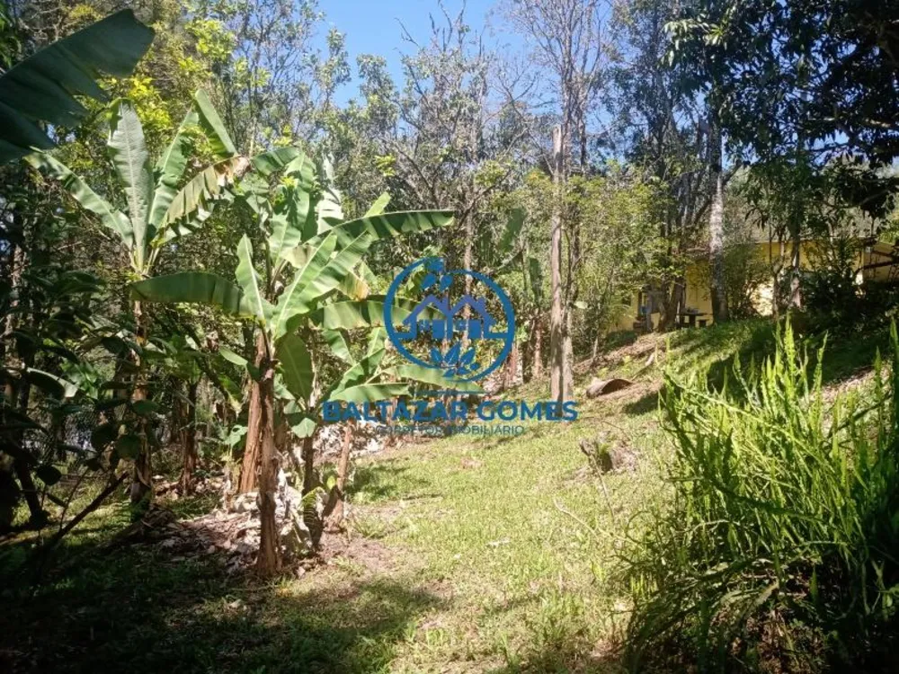 Sítio, 1 quarto, 5000 m² - Foto 14