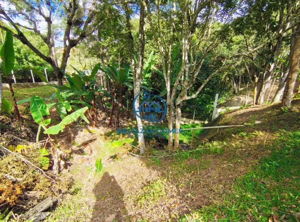 Chácara, 3 quartos, 6 hectares - Foto 3