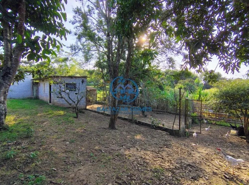 Chácara, 2 quartos, 8250 m² - Foto 3
