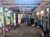 Sítio, 1 quarto, 1137 m² - Foto 10