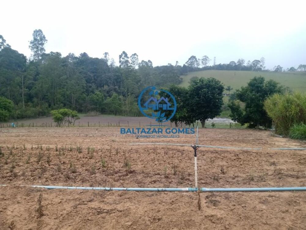 Sítio, 3 quartos, 5 hectares - Foto 4