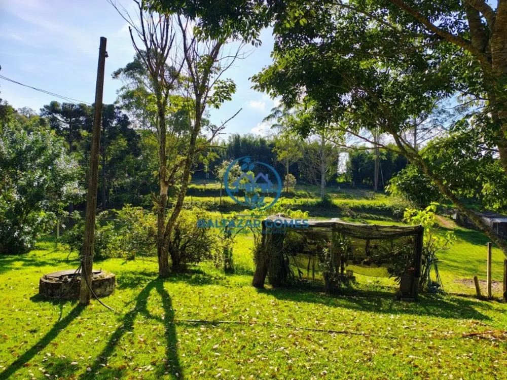 Chácara, 2 quartos, 8350 m² - Foto 10