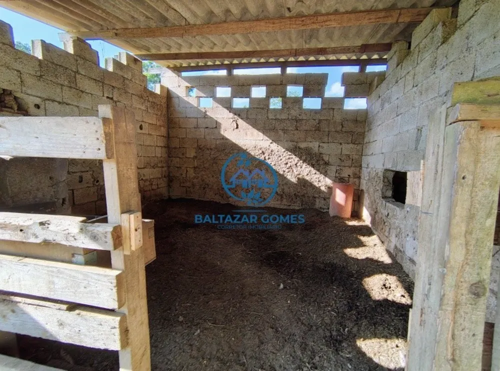 Chácara, 2 quartos, 8350 m² - Foto 13