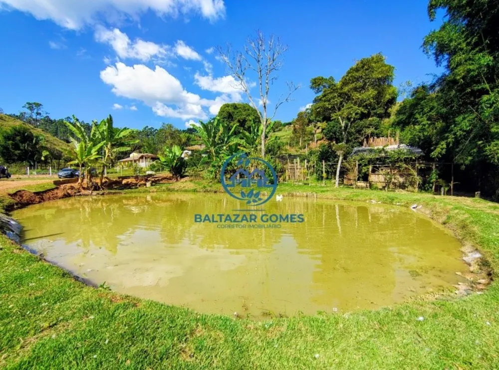 Chácara, 2 quartos, 4000 m² - Foto 2