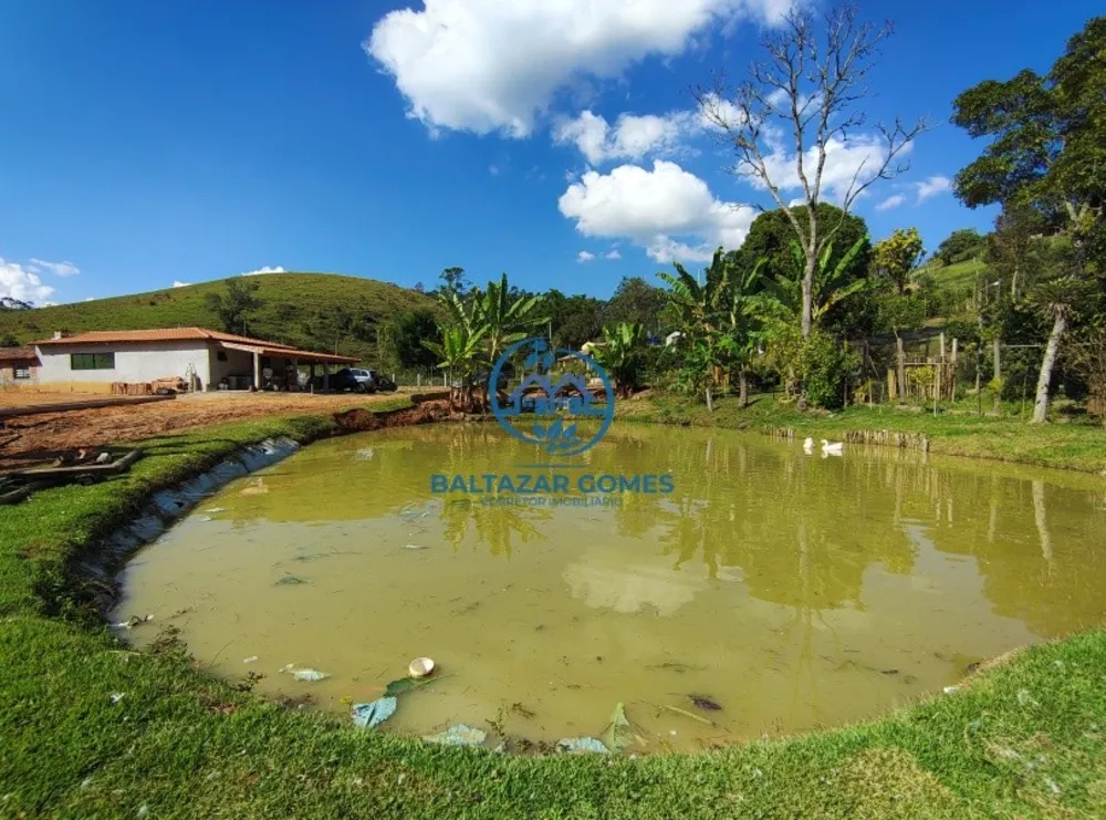 Chácara, 2 quartos, 4000 m² - Foto 17