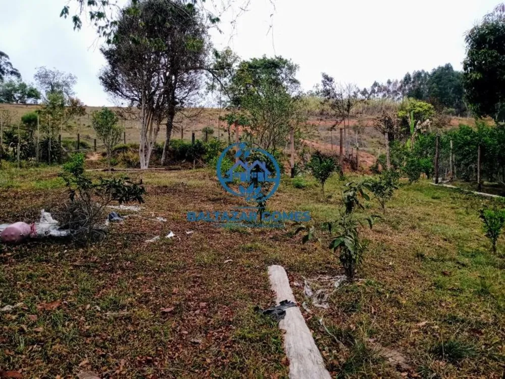 Chácara, 2 quartos, 4000 m² - Foto 10