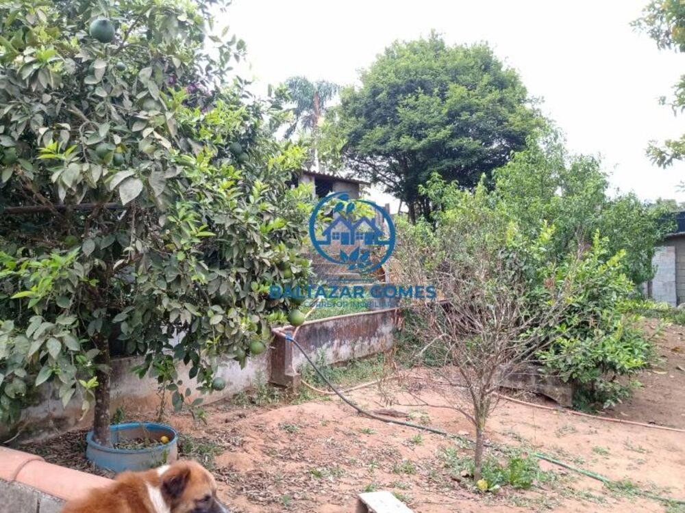 Chácara à venda com 3 quartos, 1170m² - Foto 18