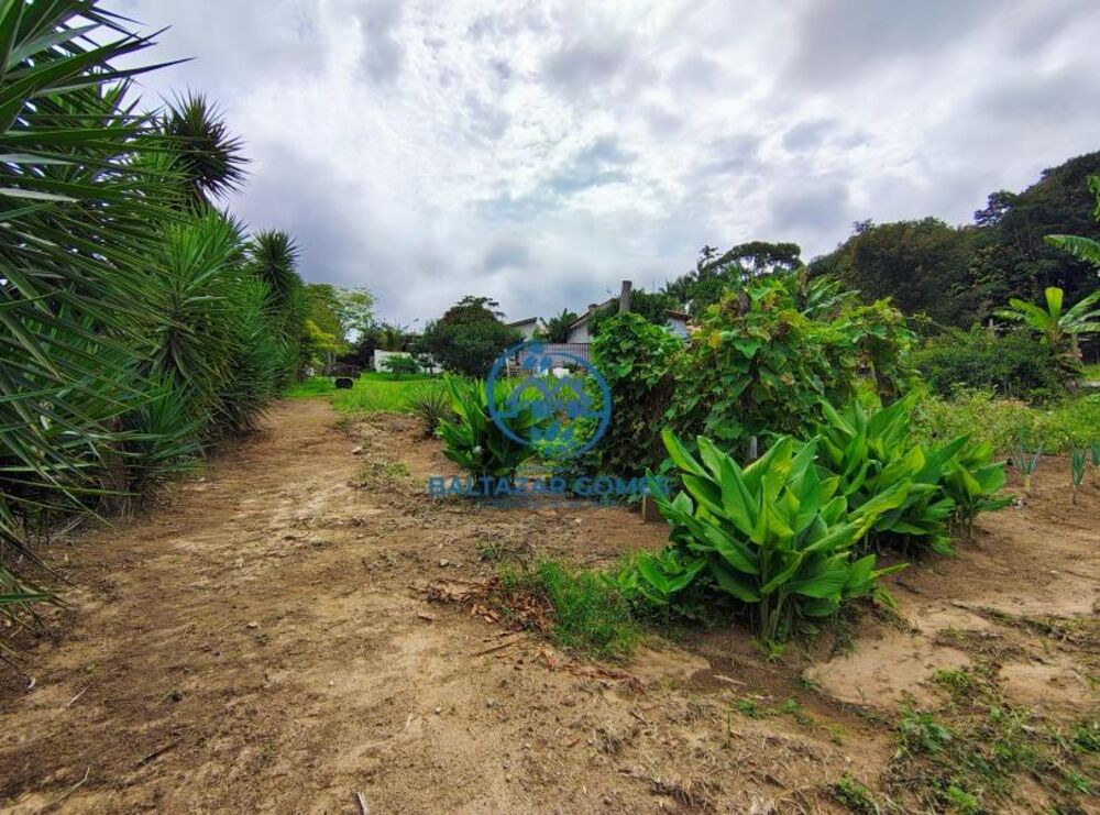 Chácara à venda com 2 quartos, 4000m² - Foto 15