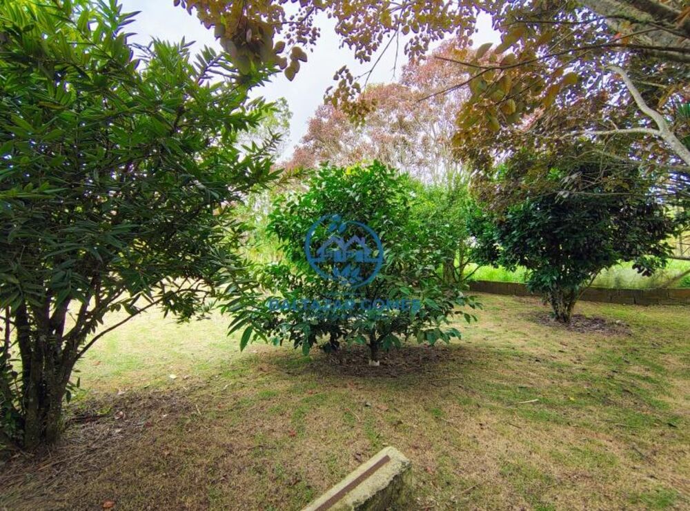 Chácara à venda com 2 quartos, 4000m² - Foto 14
