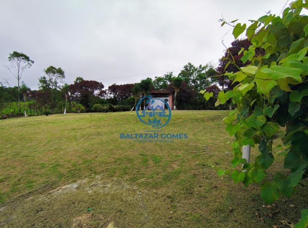 Chácara à venda com 2 quartos, 4000m² - Foto 3