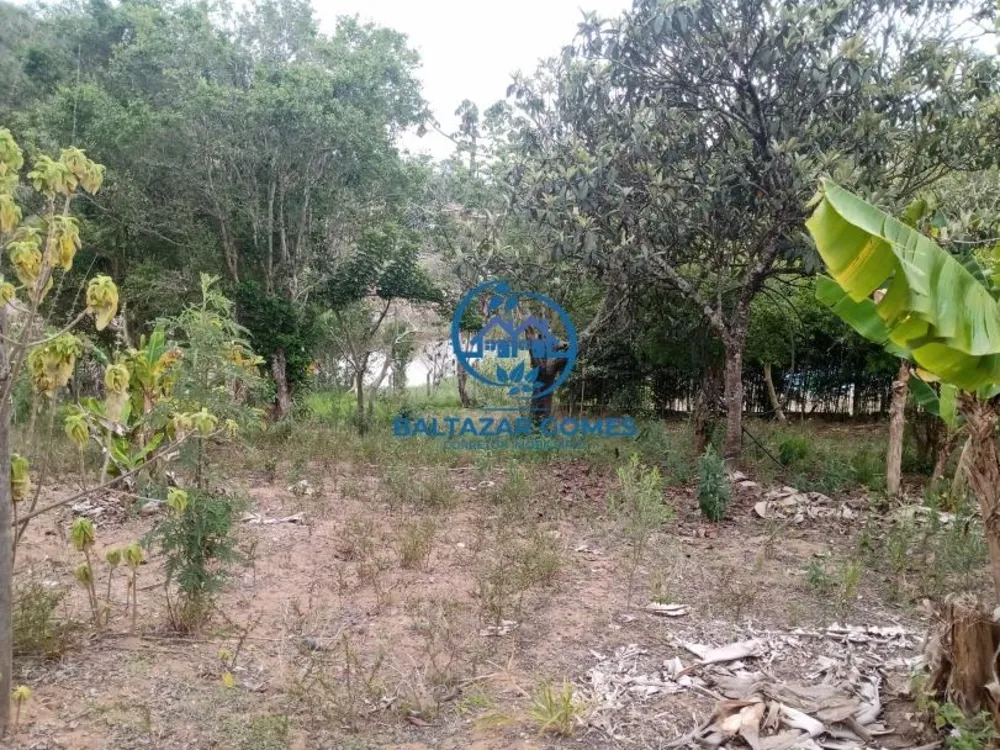 Chácara, 2 quartos, 2000 m² - Foto 12