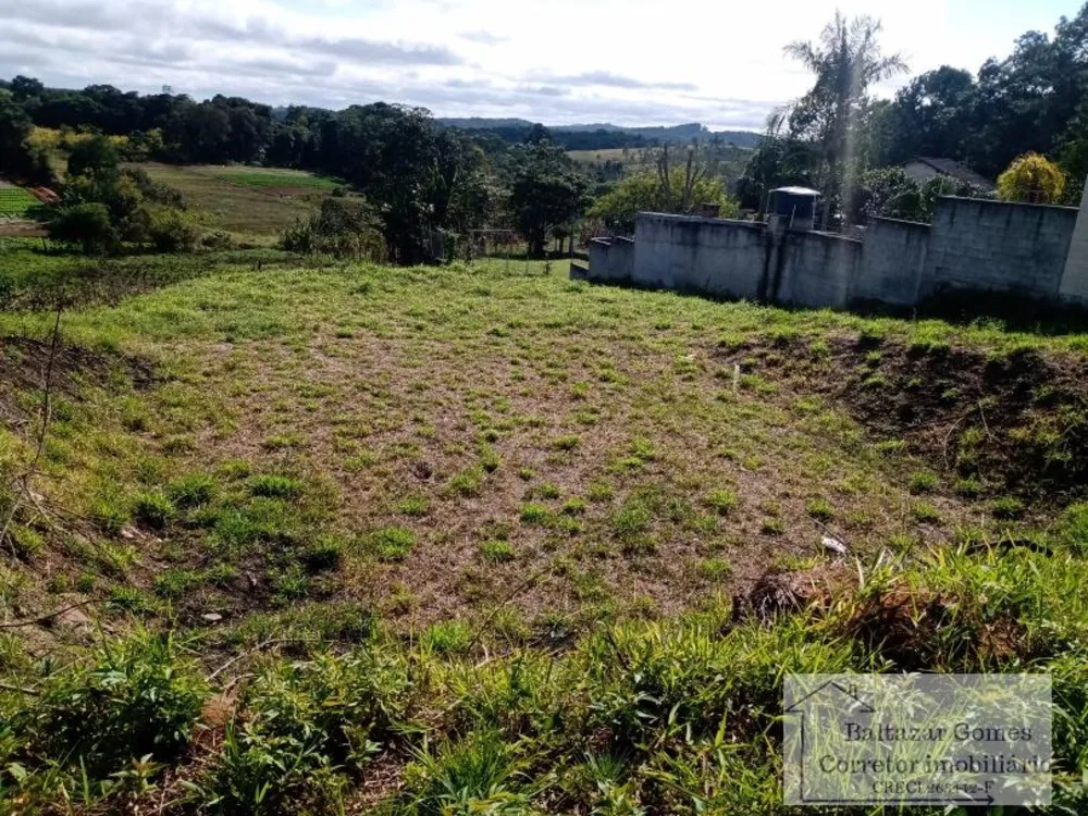 Terreno, 2296 m² - Foto 3