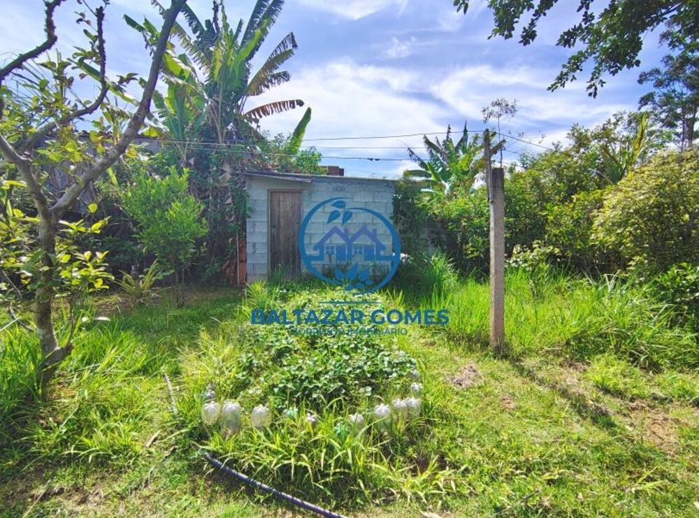 Sítio, 2 quartos, 2000 m² - Foto 4