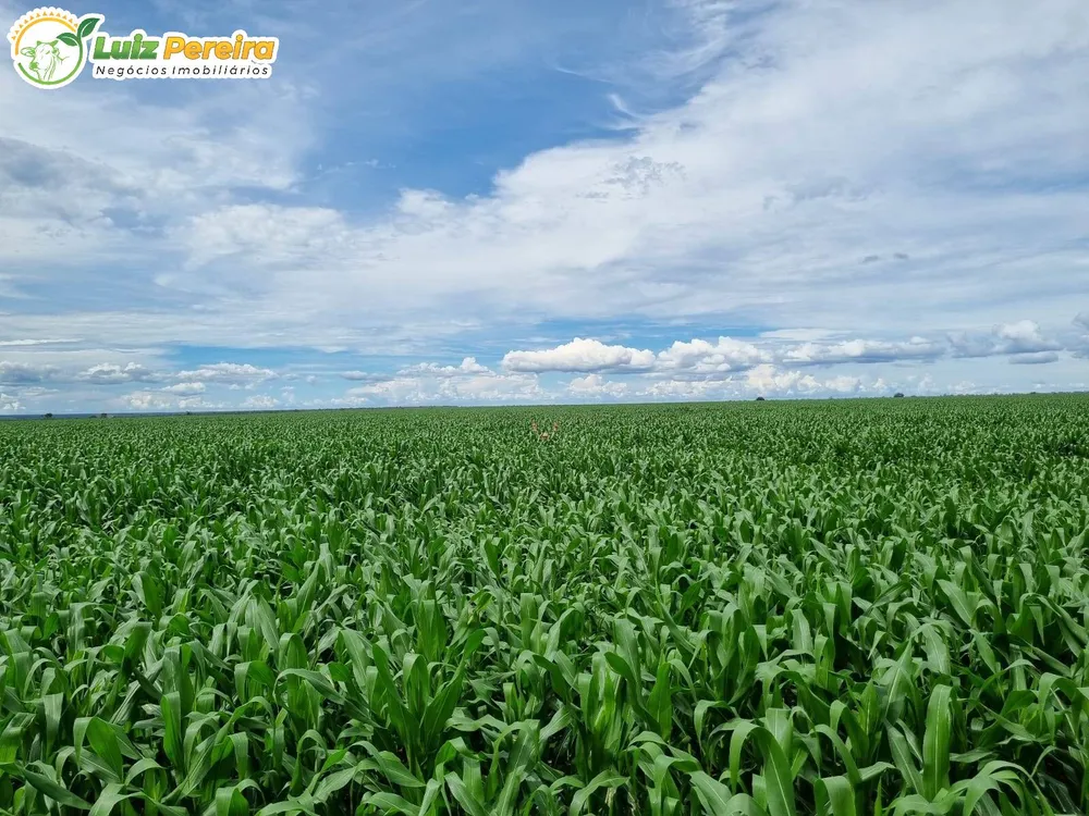Terreno, 8000 m² - Foto 1