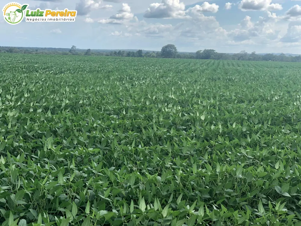 Terreno, 8000 m² - Foto 3