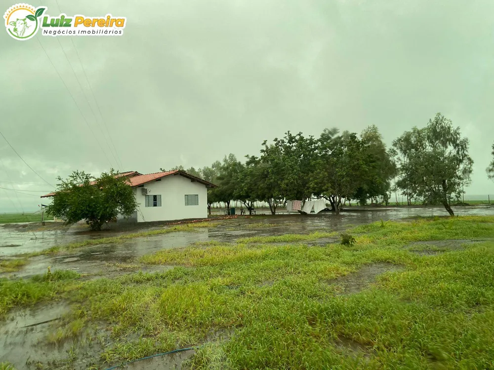 Terreno, 8000 m² - Foto 12