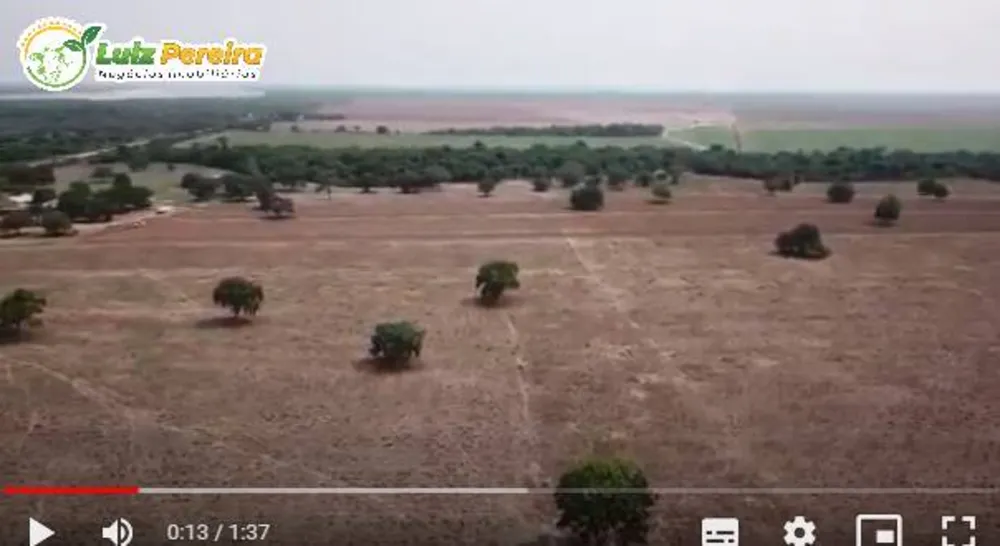 Terreno, 1452 hectares - Foto 3