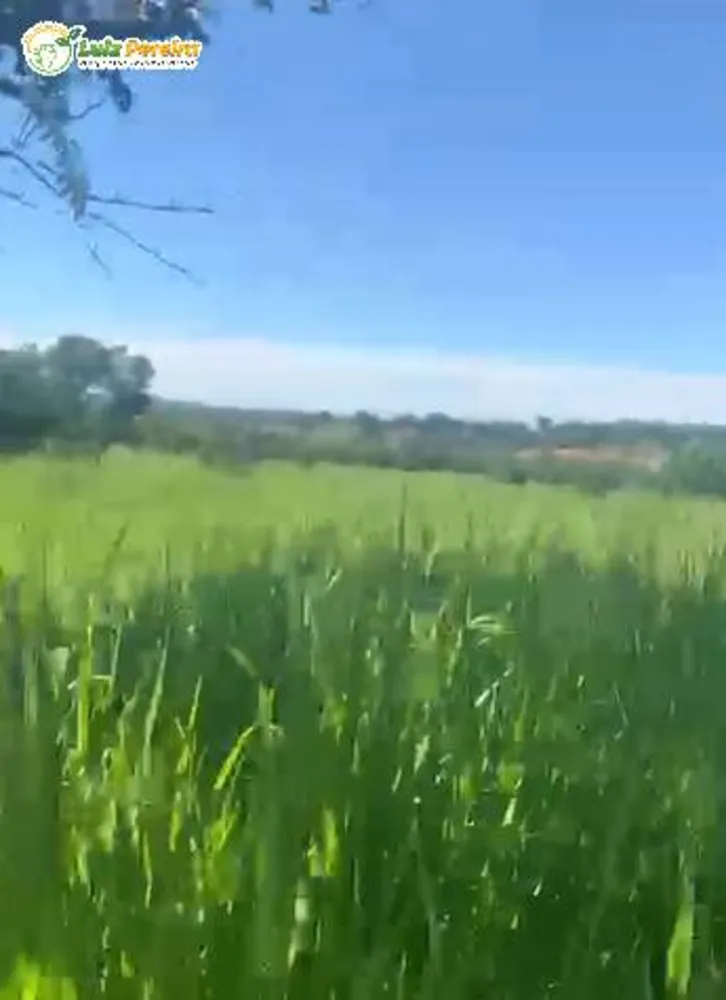 Terreno, 300 m² - Foto 2