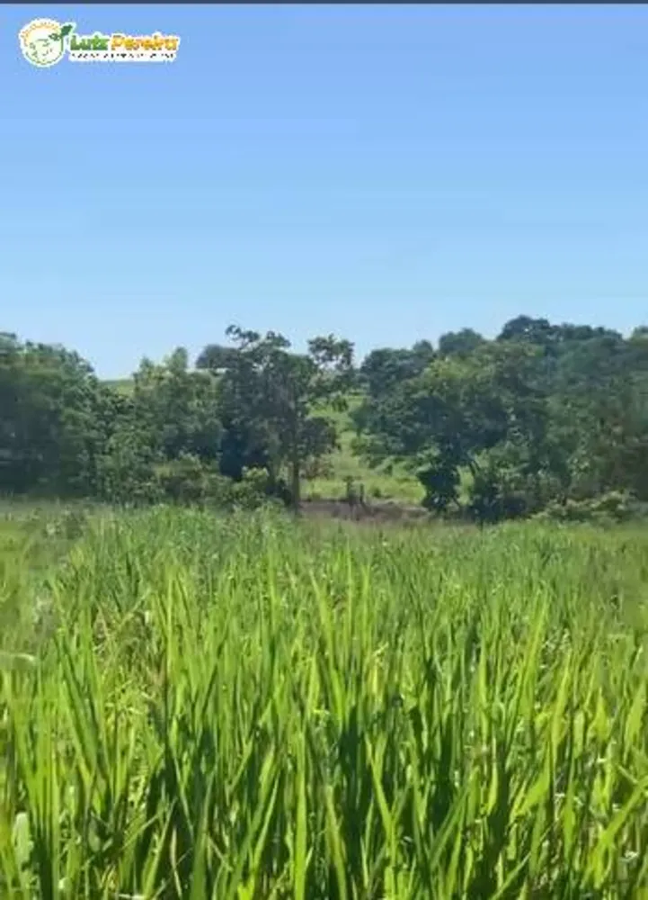 Terreno, 300 m² - Foto 3