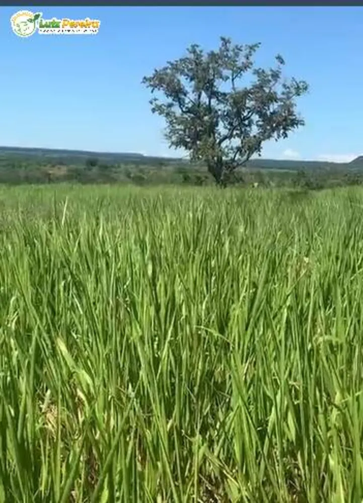 Terreno, 300 m² - Foto 4