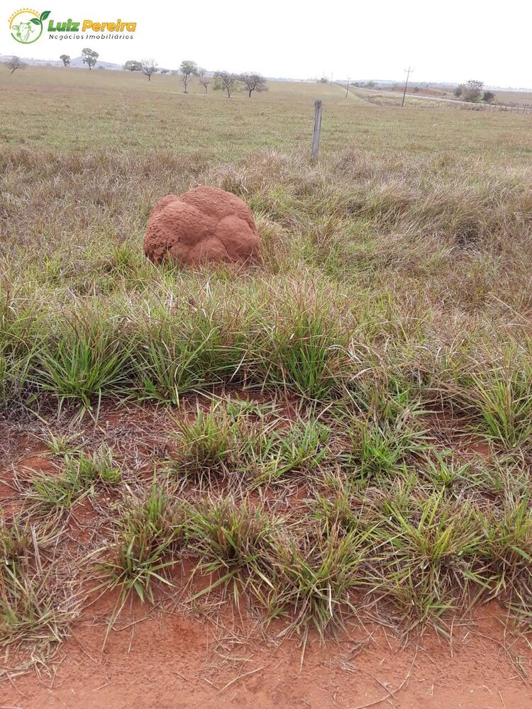 Terreno, 1322 m² - Foto 4