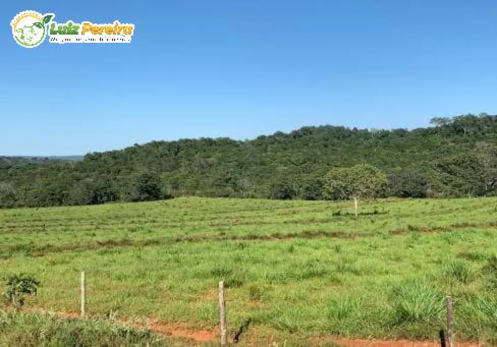Terreno, 1482 m² - Foto 5