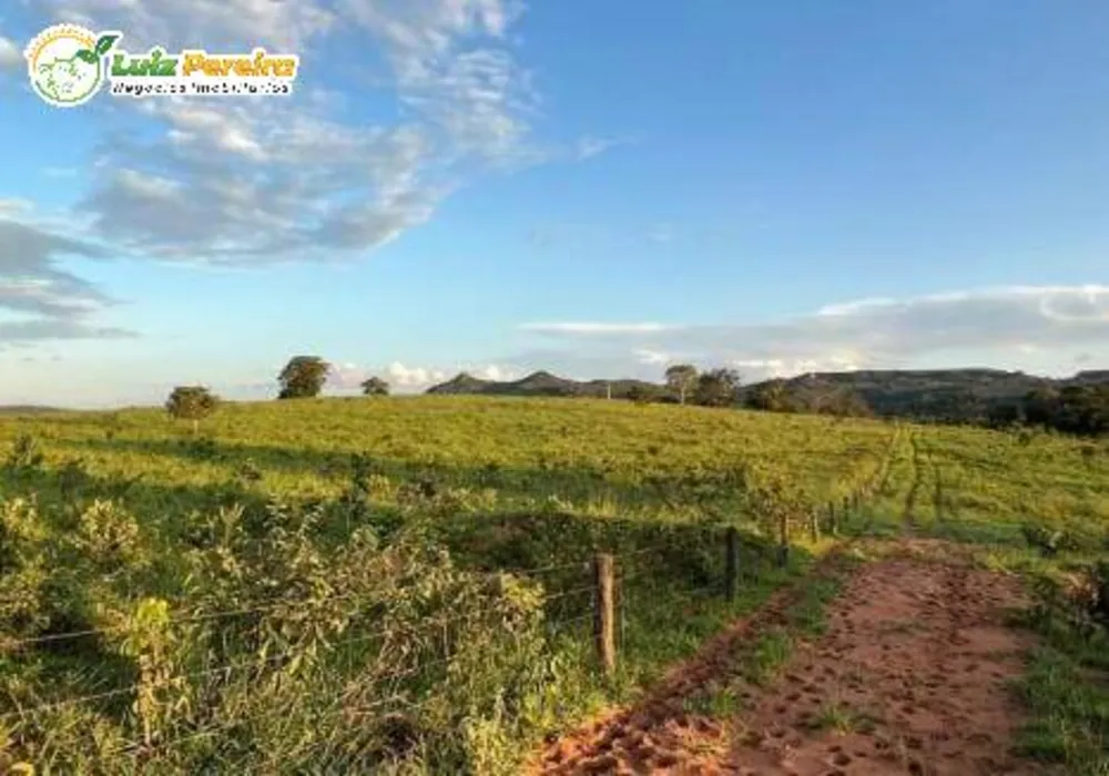 Terreno, 1482 m² - Foto 4