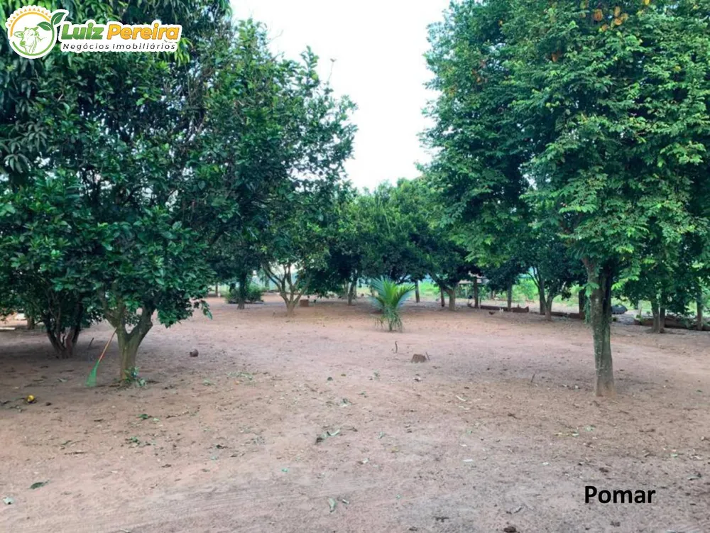 Terreno, 1482 m² - Foto 1